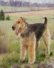 Bailey