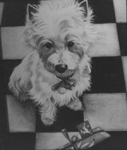 Checkers