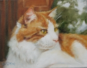 Ferdie