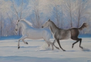 Fresh Snow