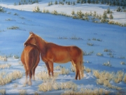 Mustangs