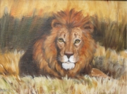 Pride