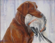 Retriever