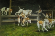 The Pack