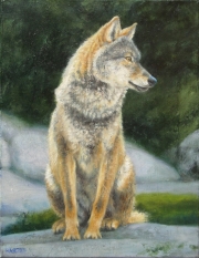 Watchful