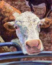 All-the-Right-Mooooves