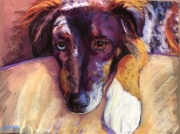 My-Dog-Blue