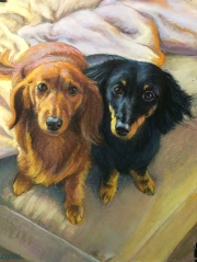 Poppy-and-Pup-2