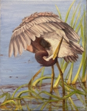 Preening