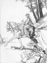 Feminist Fairytales