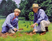 Replanting