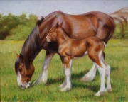 Mares Eat Oats
